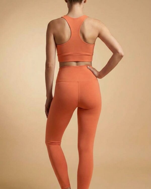 Conjunto Fitness Feminino UV 50+ – Salmão (Top Nadador – Costas) JGEO Moda Fitness Feminina